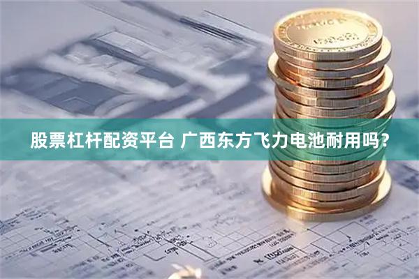 股票杠杆配资平台 广西东方飞力电池耐用吗？