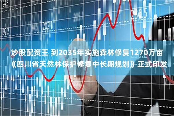 炒股配资王 到2035年实施森林修复1270万亩 《四川省天然林保护修复中长期规划》正式印发
